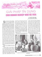 Giải pháp tín dụng cho doanh nghiệp nhỏ và vừa 