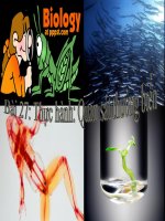 Bài giảng sinh học 9 thực hành quan sát thường biến (16) 