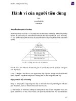 Hành vi của người tiêu dùng 