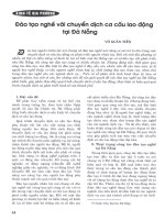 Đào tạo nghề với chuyển dịch cơ cấu lao động tại đà nẵng 