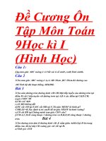 Đề cương ôn tập môn toán 9 học kì I