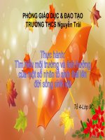 Bài giảng sinh học 9 tham khảo thực hành tìm hiểu môi trường và ảnh hưởng của một số nhân tố sinh thái (21) 