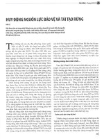 Huy động nguồn lực bảo vệ và tái tạo rừng 