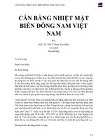 CÂN BẰNG NHIỆT mặt BIỂN ĐÔNG NAM VIỆT NAM 