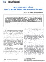 Hiệu quả hoạt động tại các ngân hàng thương mại việt nam 