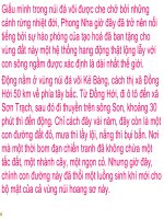 Di sản văn hóa   động phong nha 