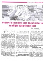 Phát triển hoạt động kinh doanh ngoại tệ của ngân hàng thương mại 