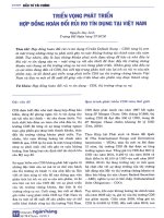 Triển vọng phát triển hợp đồng hoán đổi rủi ro tín dụng tại việt nam 