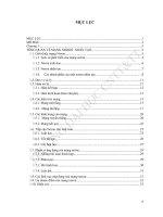 Nghiên cứu về mạng nơron và ứng dụng trong bài toán phân lớp dữ liệu 