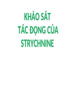 KHẢO SÁT TÁC ĐỘNG CỦA STRYCHNINE