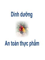 DINH DƯỠNG, AN TOÀN THỰC PHẨM