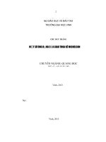 “Một số ứng dụng của giao thoa kế michelson 