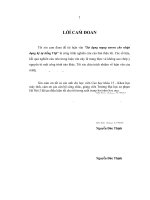 Nhận dạng chữ viết tay tiếng việt sử dụng mạng nơron 