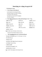 Danh động từ và động từ nguyên thể