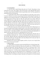 Dạy học thơ văn Nguyễn Đình Chiểu dưới góc nhìn văn hóa Nam Bộ