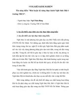 SKKN rèn luyện kỹ năng thực hành nghi thức đội ở trường THCS 