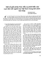 Một số giải pháp thúc đẩy sự phát triển các cụm liên kết ngành tại việt nam trong bối cảnh hội nhập 