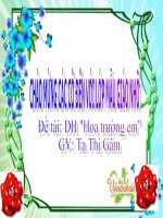 Giáo án âm nhạc hoa trường em mẫu giáo