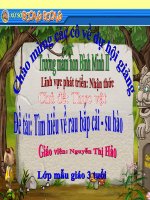 Giáo án điện tử môi trường xung quanh tìm hiểu rau bắp cải xu hào