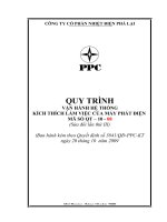 QUY TRÌNH VẬN HÀNH HỆ THỐNG  KÍCH THÍCH LÀM VIỆC CỦA MÁY PHÁT ĐIỆN