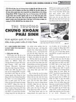 Thị trường chứng khoán phái sinh kinh nghiệm quốc tế và các điều kiện phát triển ở việt nam 