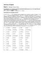 Đề thi CAE Use of English (test 2)