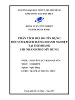 phân tích rủi ro tín dụng đối với khách hàng doanh nghiệp tại eximbankchi nhánh phú mỹ hưng 