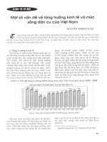 Một số vấn đề về tăng trưởng kinh tế và mức sống dân cư của việt nam 