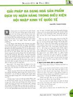 Giải pháp đa dạng hóa sản phẩm dịch vụ ngân hàng trong điều kiện hội nhập kinh tế quốc tế 