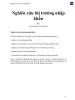 Nghiên cứu thị trường nhập khẩu (1) 