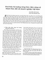 Khai thác thị trường nông thôn tiềm năng và thách thức đối với doanh nghiệp việt nam 