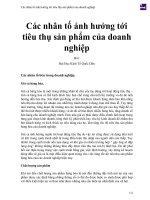 Các nhân tố ảnh hưởng tới tiêu thụ sản phẩm của doanh nghiệp 