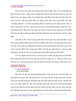 skkn kinh nghiệm phát triển kỹ năng nghe hiểu của học sinh 