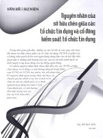 Nguyên nhân của sở hữu chéo giữa các tổ chức tín dụng và cổ đông kiểm soát tổ chức tín dụng 