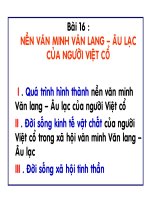 Nền văn minh văn lang   âu lạc của người việt cổ