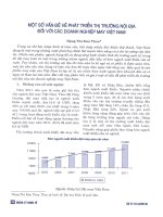 Một số vấn đề về phát triển thị trường nội địa đối với các doanh nghiệp may việt nam 