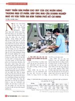 Phát triển sản phẩm cho vay của các ngân hàng thương mại cổ phần, đáp ứng nhu cầu doanh nghiệp nhỏ và vừa trên địa bàn thành phố hồ chí minh 