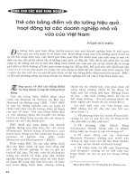 Thẻ cân bằng điểm và đo lường hiệu quả hoạt động tại các doanh nghiệp nhỏ và vừa của việt nam 