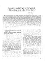 Sensory marketing trên thế giới và tiềm năng phát triển ở việt nam 
