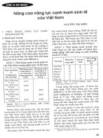 Nâng cao năng lực cạnh tranh kinh tế của việt nam 