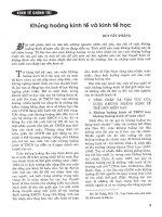 Khủng hoảng kinh tế và kinh tế học 