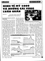 Kinh tế mỹ 2009 và những cái vòng luẩn quẩn 