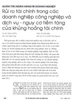 Rủi ro tài chính trong các doanh nghiệp công nghiệp và dịch vụ   nguy cơ tiềm tàng của khủng hoảng tài chính 