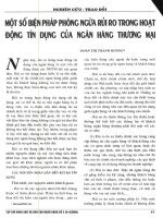 Một số biện pháp phòng ngừa rủi ro trong hoạt động tín dụng của ngân hàng thương mại 