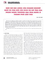 Mức độ hài lòng của doanh nghiệp nhỏ và vừa đối với dịch vụ hỗ trợ của ngân hàng thương mại nhà nước ở thành phố cần thơ 