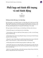 Phối hợp mô hình đối tượng và mô hình động 