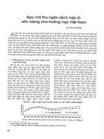 Quy mô thu ngân sách hợp lý ước lượng cho trường hợp việt nam 