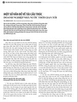 Một số vấn đề về tái cấu trúc doanh nghiệp nhà nước thời gian tới 