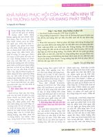 Khả năng phục hồi của các nền kinh tế thị trường mới nổi và đang phát triển 