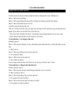 Câu hỏi dạng bị động